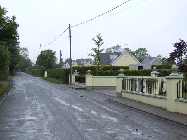 File:Row of detached houses at Coolaught, Co. Wexford - geograph.org.uk - 443545.jpg