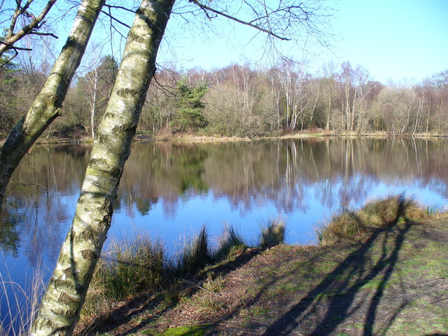 File:Shortheath Pond, Oakhanger - geograph.org.uk - 328690.jpg