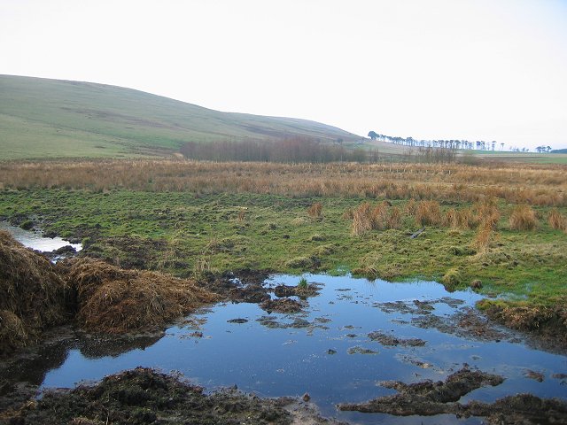 File:Southern Upland boundary fault. - geograph.org.uk - 111358.jpg