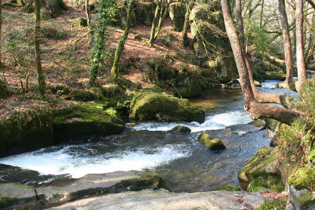 St Neot, Golitha Falls - geograph.org.uk - 139639