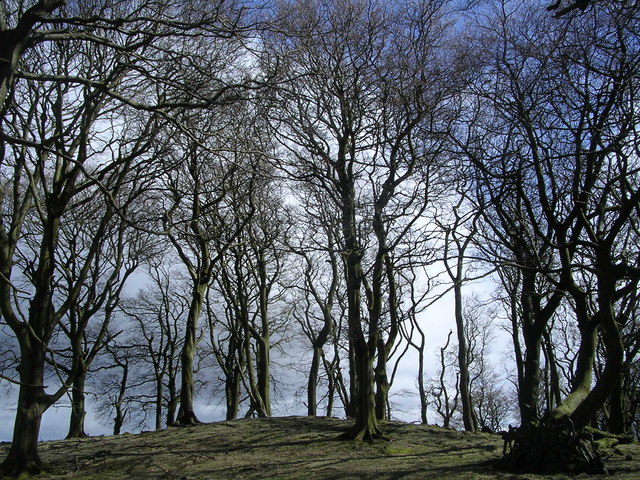 File:Summit of Drumheldric - geograph.org.uk - 162086.jpg