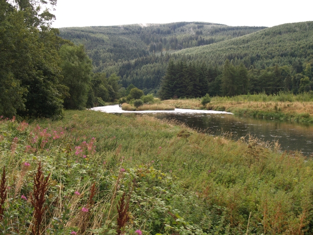 The Tweed near Cardrona - geograph.org.uk - 233161