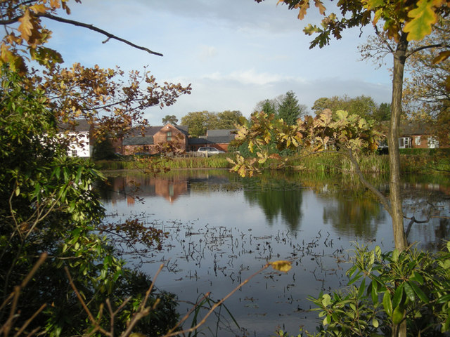 The pond at Hadnall - geograph.org.uk - 1036686.jpg