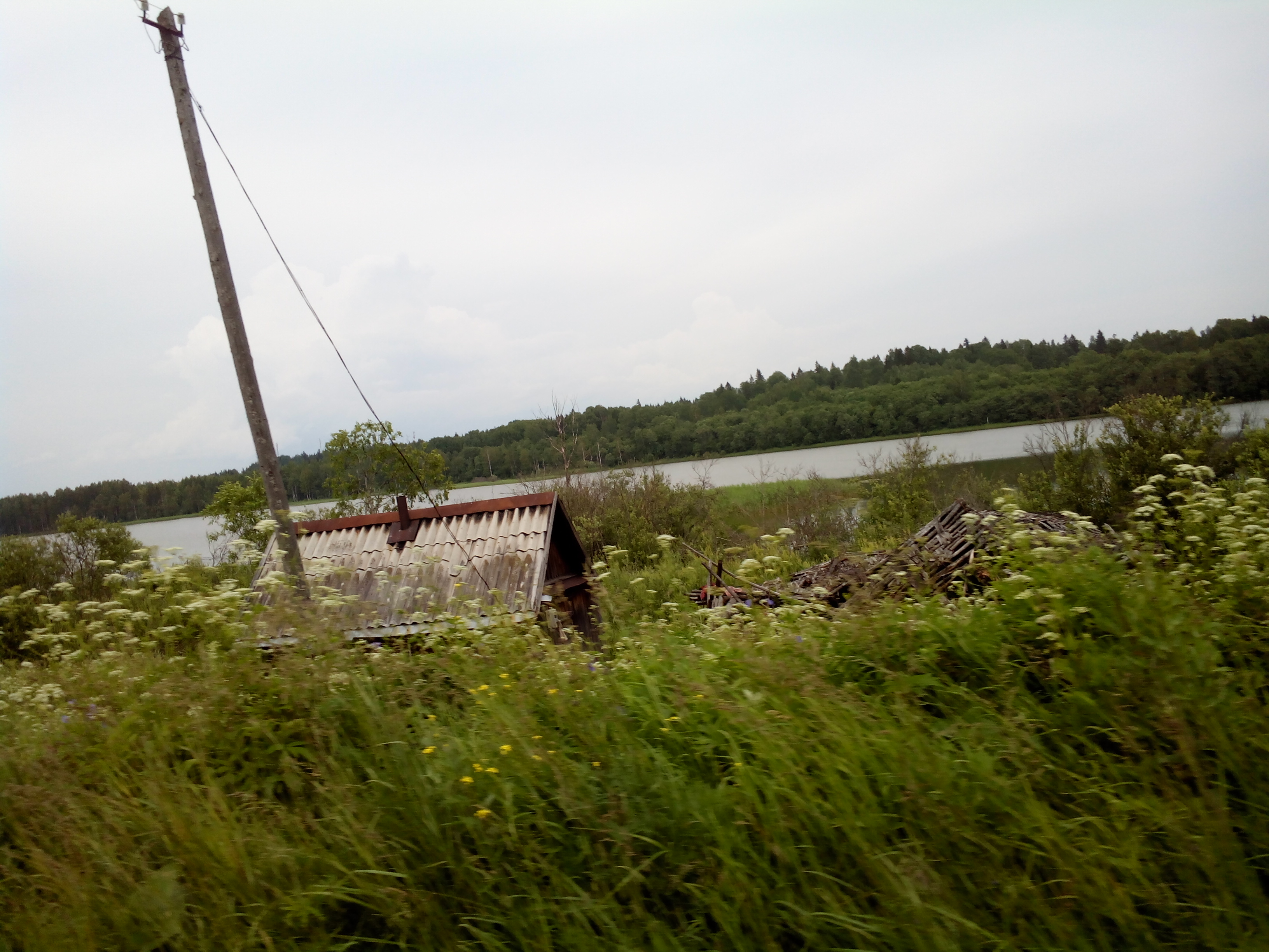 Тельбовичи Новгородская область