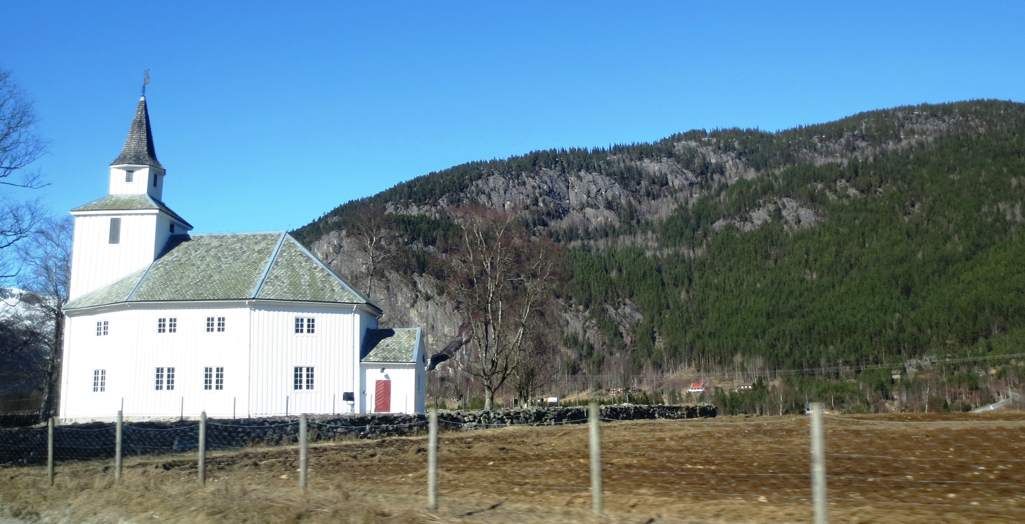 Den norske kirke