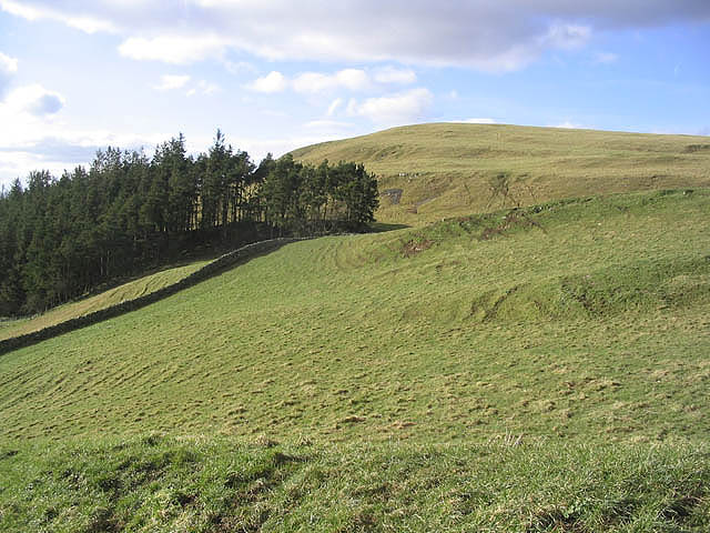 Wiltonburn Hill - geograph.org.uk - 343737