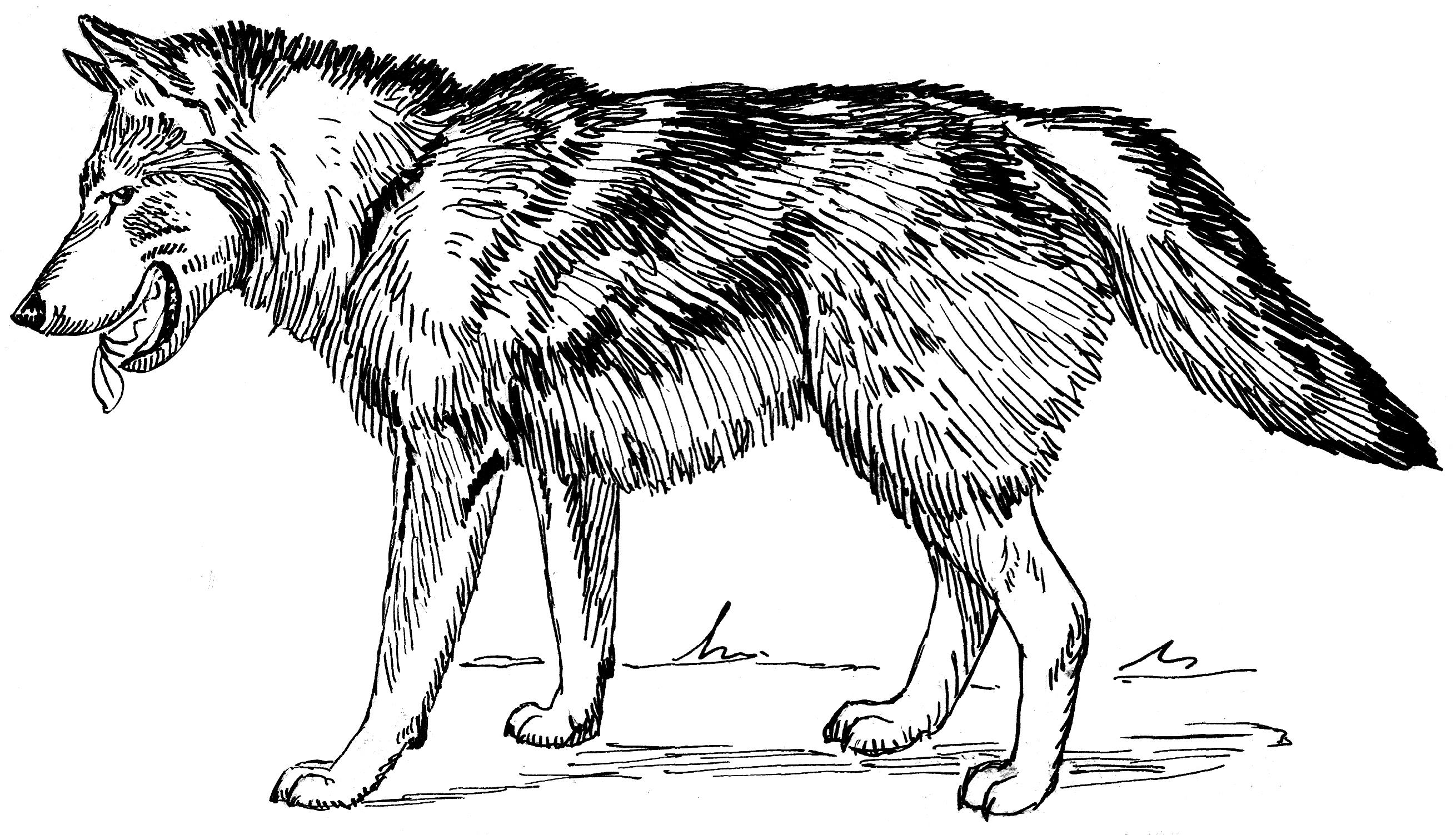 File:Wolf–Lundmark–Melotte (transparent background).png - Wikimedia Commons