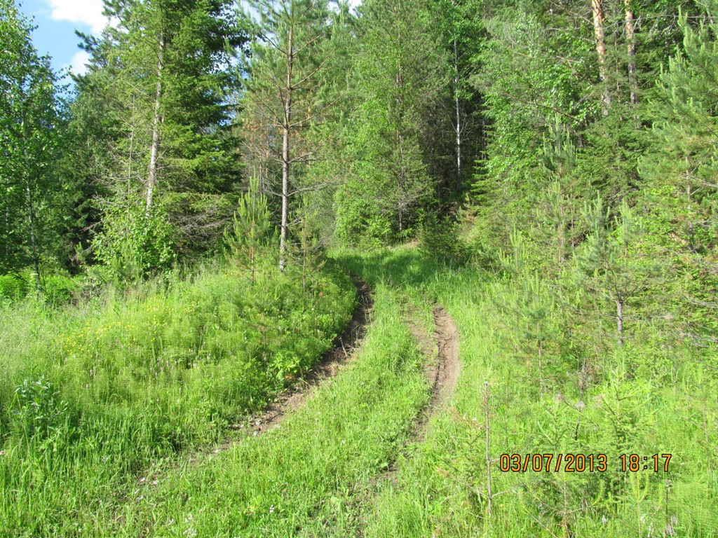 Балай красноярский край фото