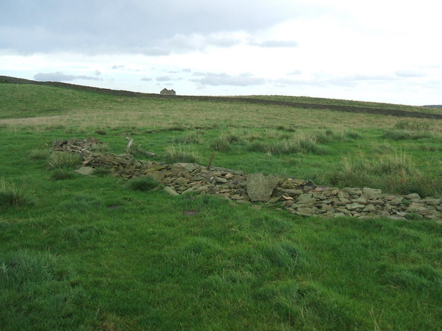 File:A circle of stones - geograph.org.uk - 958801.jpg