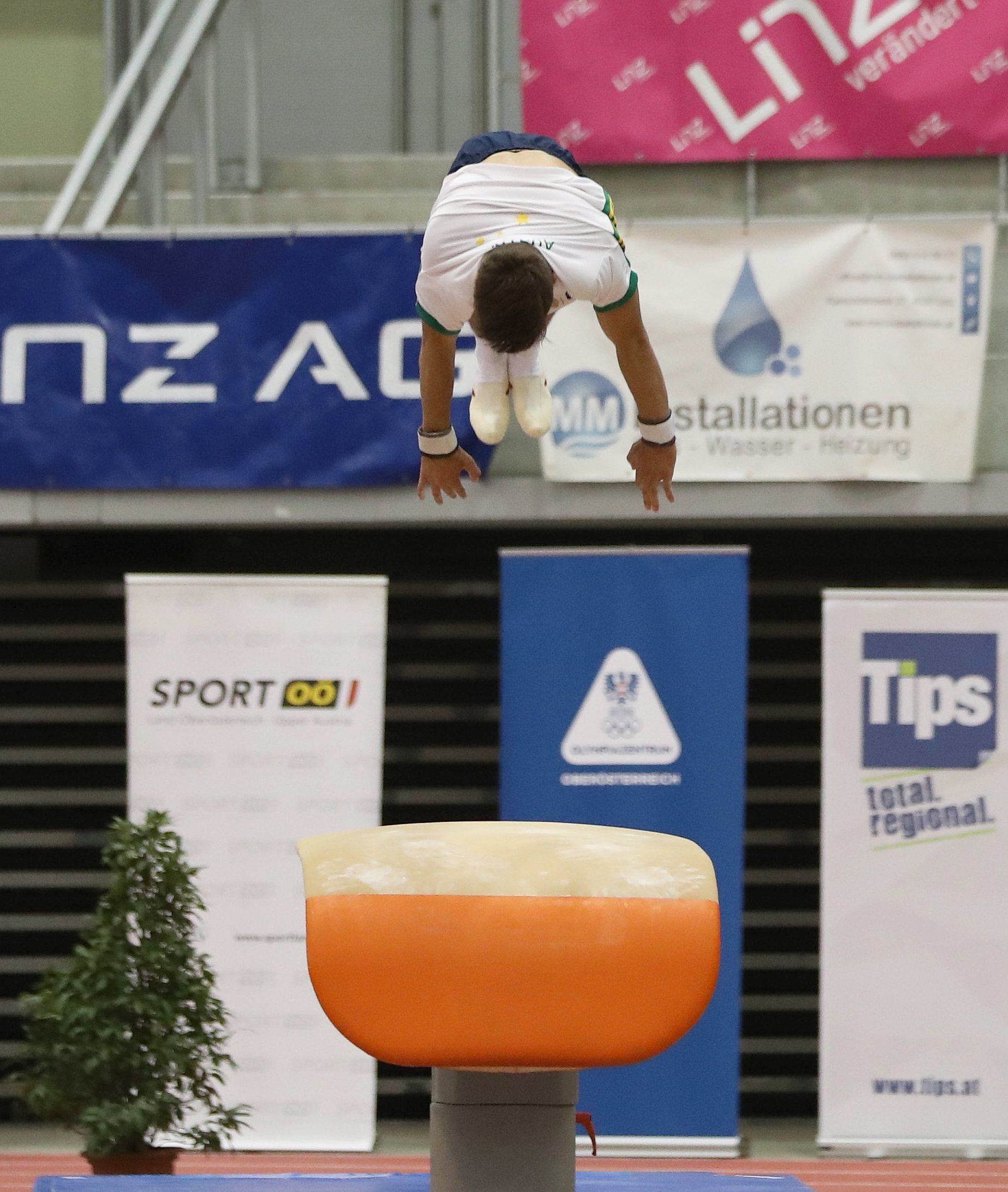 Future cup. Future a Cup. Budapest Cup Training Vault (Martin Rulsch).
