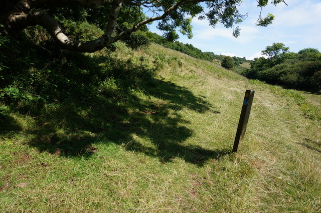 File:Avon Estuary Walk - geograph.org.uk - 4110869.jpg