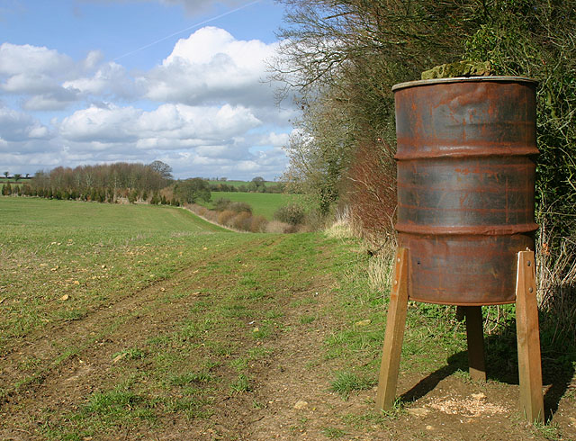 File:Bird feeder near Buswell's Thicket - geograph.org.uk - 358703.jpg