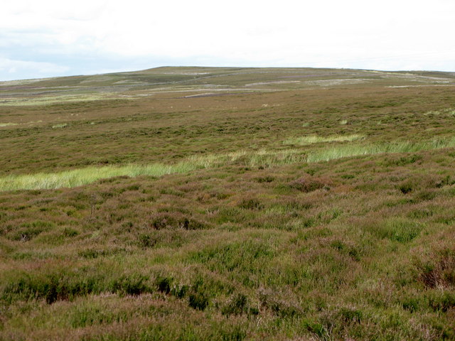 File:Birkside Fell - geograph.org.uk - 505298.jpg