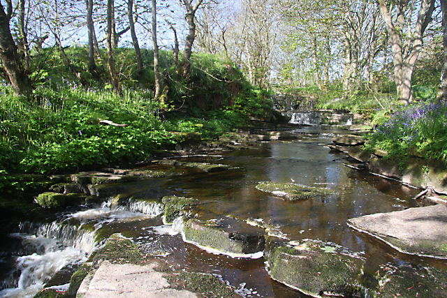 File:Burn of Woodwick - geograph.org.uk - 1301986.jpg