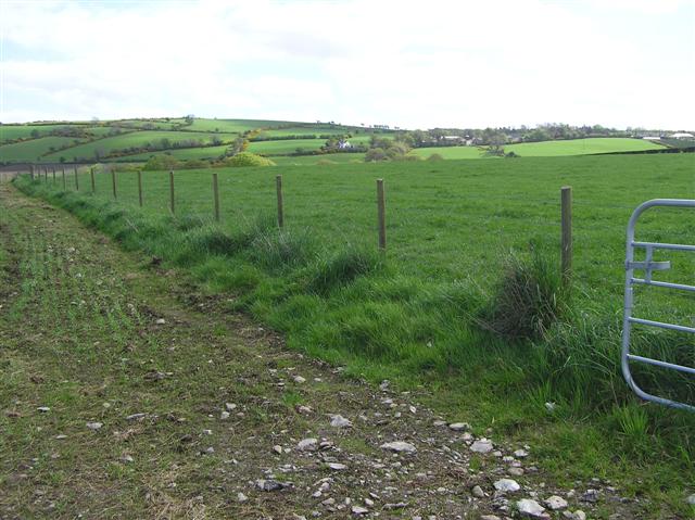 File:Carnakilly Townland - geograph.org.uk - 414793.jpg