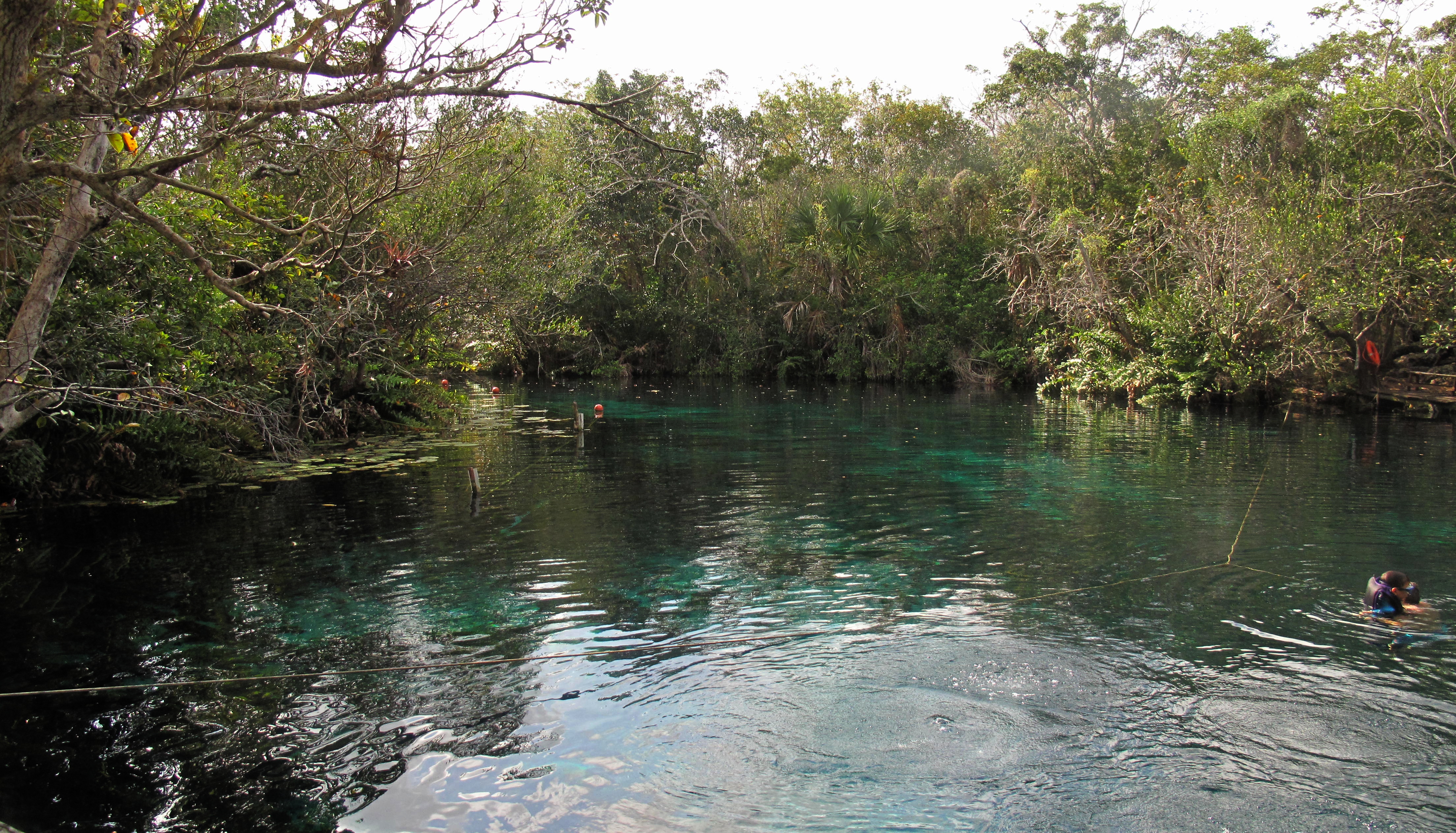 Cenote Carwash