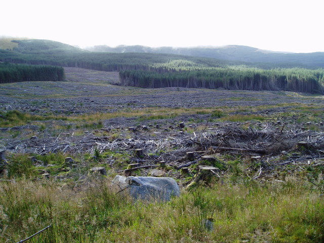 File:Clear fell and standing timber below Little Craigtarson - geograph.org.uk - 545340.jpg