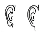 Plik:Earlobes free attached.jpg