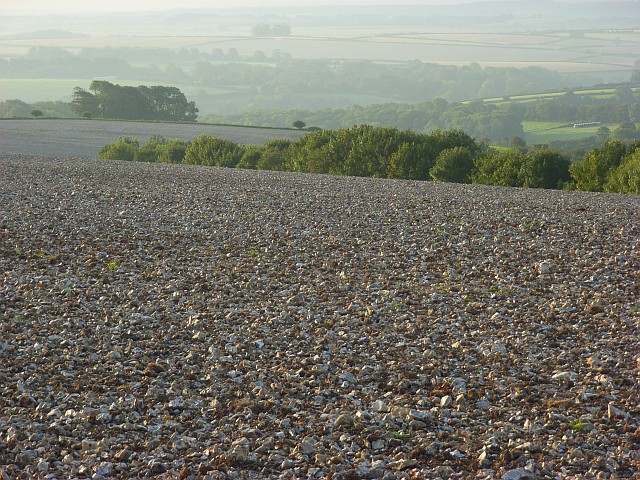 File:Farmland above Piddletrenthide - geograph.org.uk - 541738.jpg