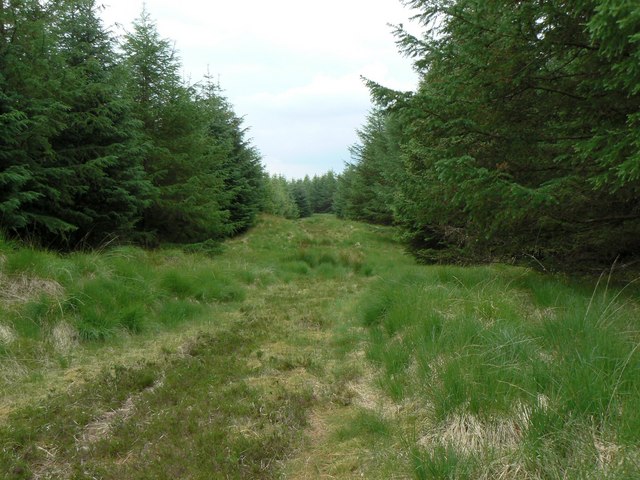 File:Fire break - geograph.org.uk - 464425.jpg