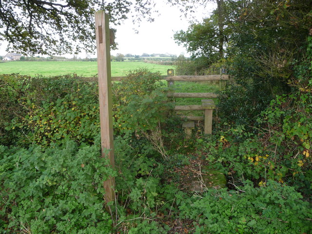 File:Footpath fingerpost and stile - geograph.org.uk - 3190806.jpg