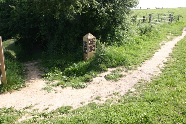 File:Footpaths Crossing - geograph.org.uk - 462854.jpg