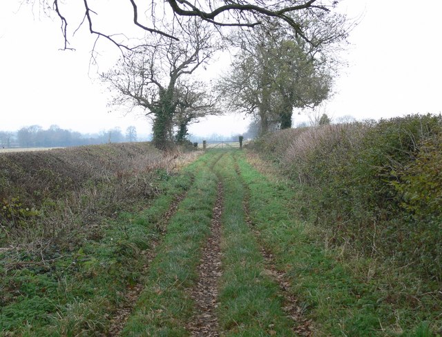 File:Fosse Way - geograph.org.uk - 616880.jpg