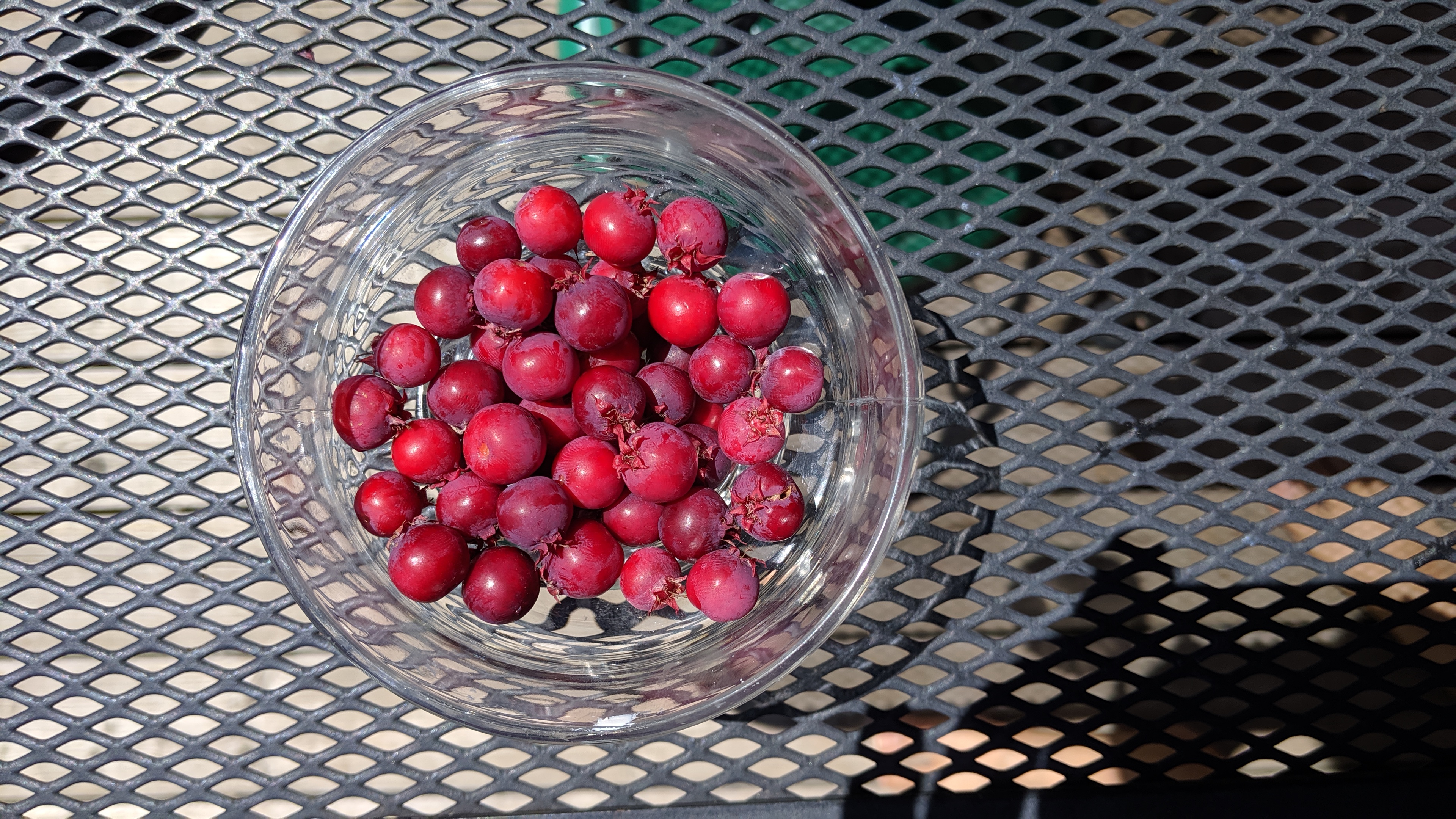 cabasa fruit