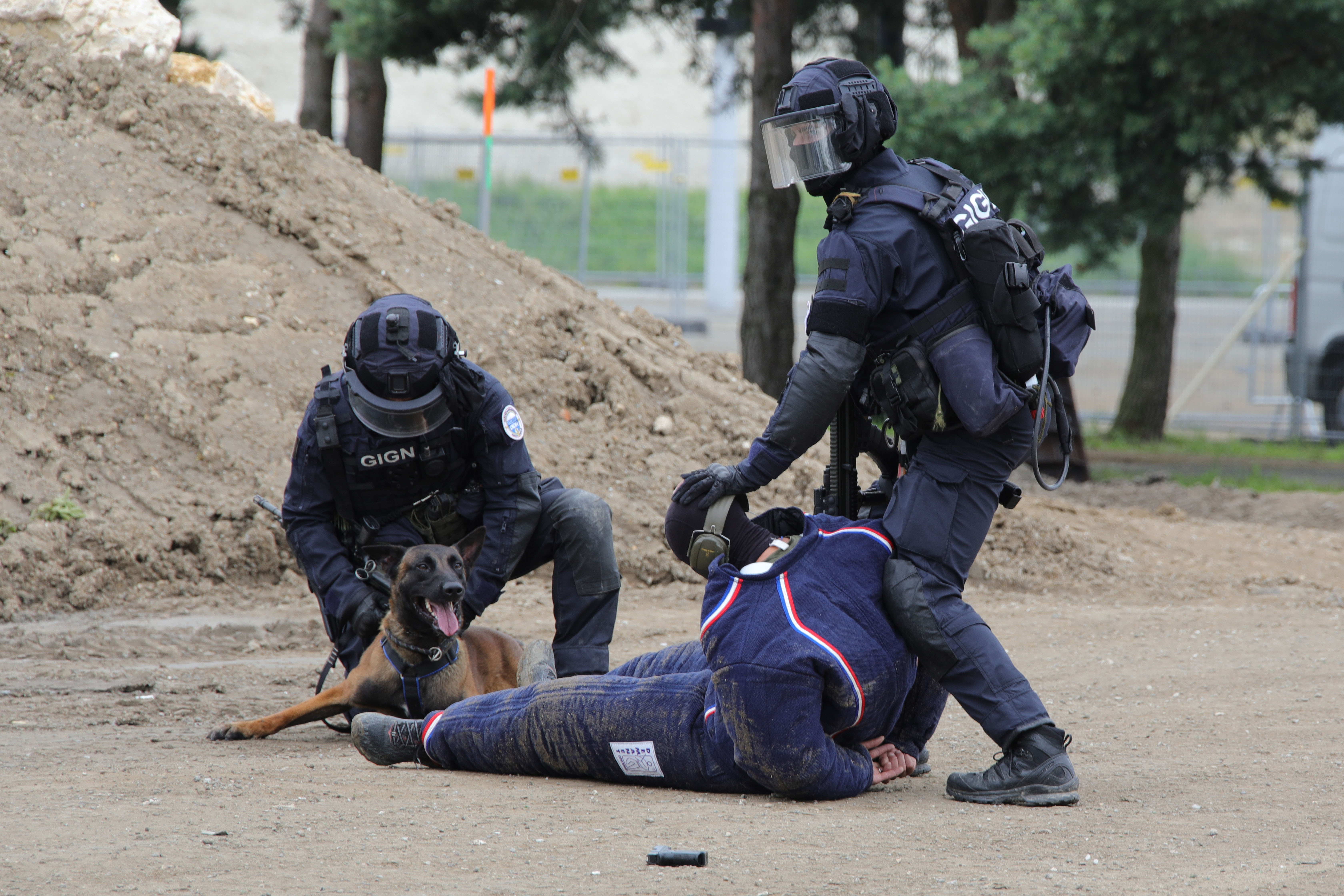 Gign Wikiwand