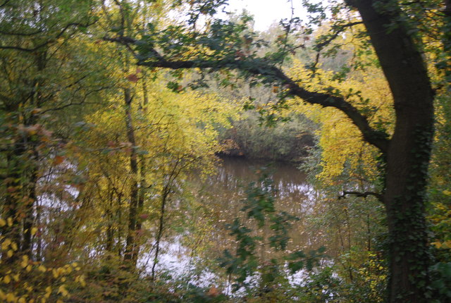 Golden Valley Lakes - geograph.org.uk - 2738363