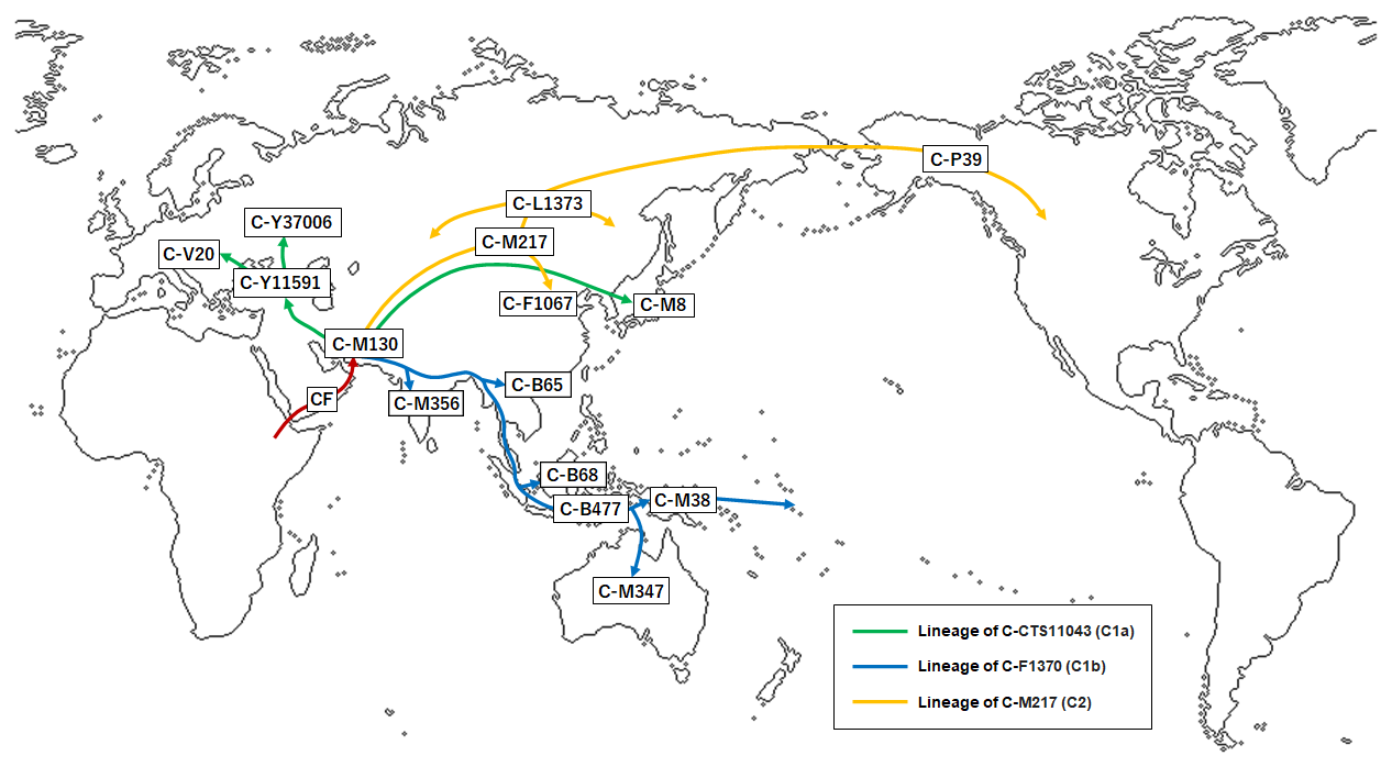 Haplogroup_C_%28Y-DNA%29_migration.png