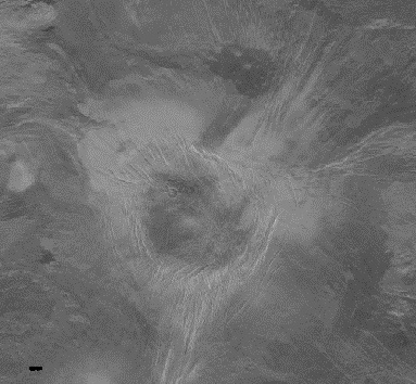 File:Irnini mons on venus v-20.jpg