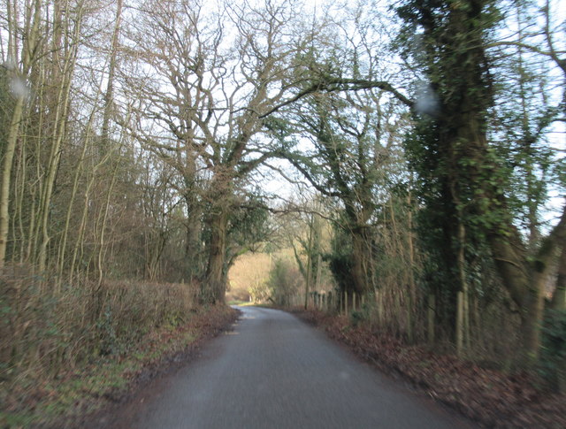 File:Jacob's Ladder Lane Near Fernhill Heath - geograph.org.uk - 5654385.jpg