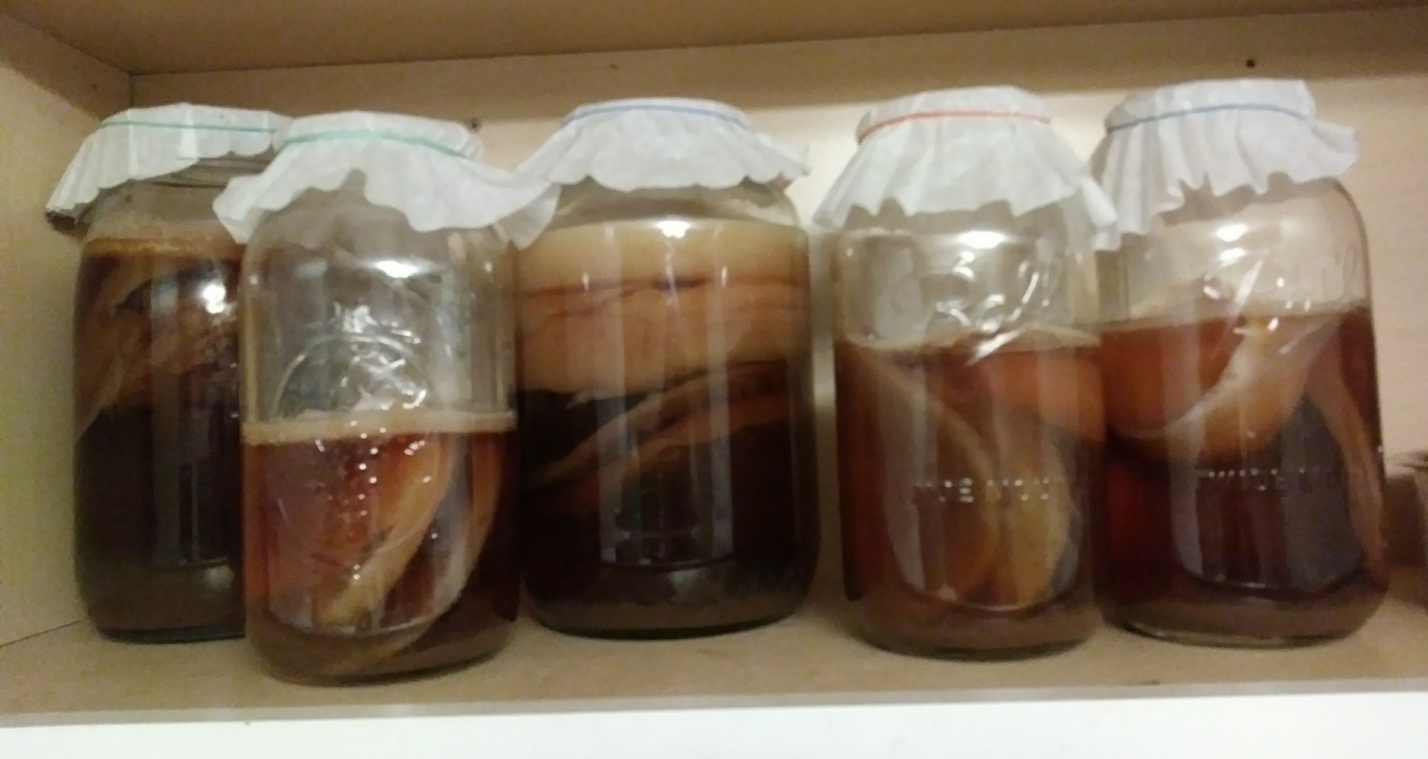 Kombucha — Wikipédia