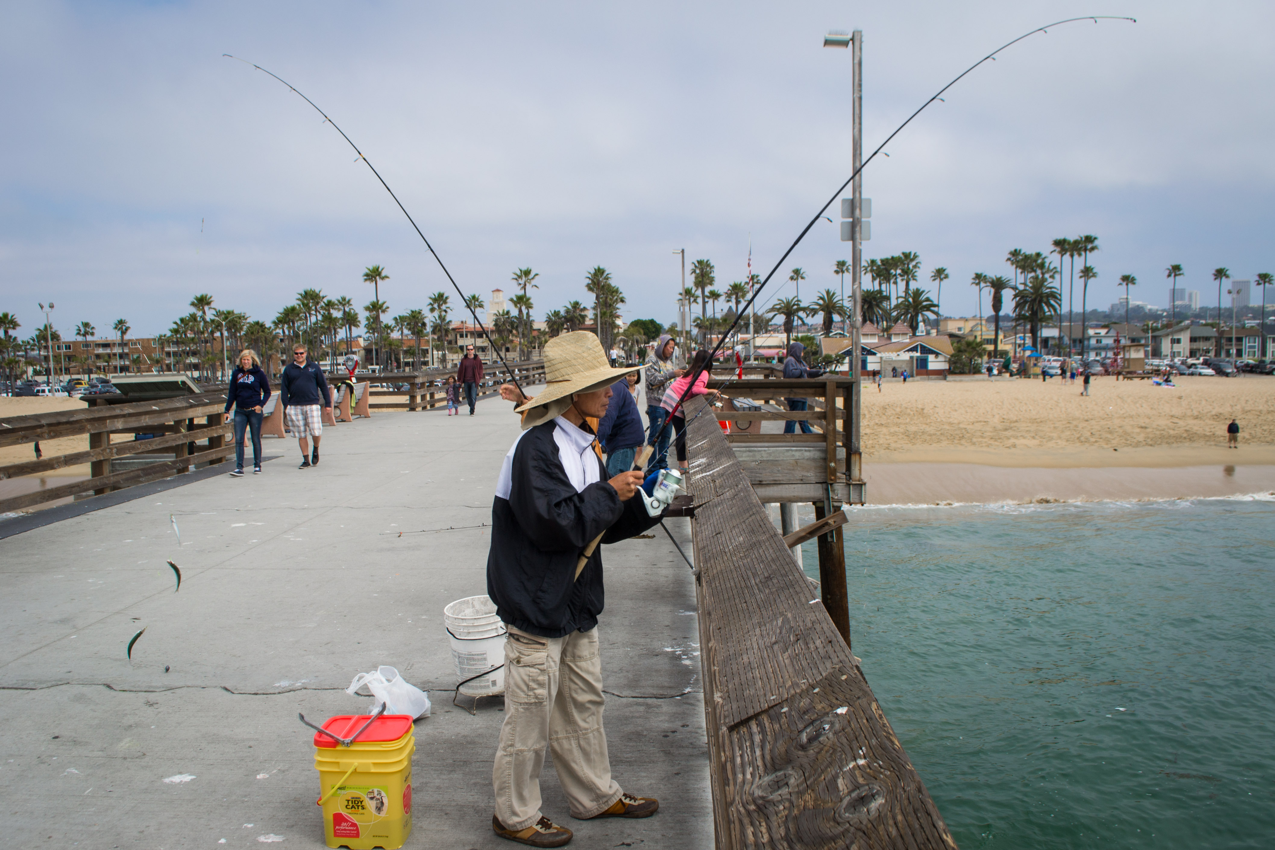 J fishing. Бичи на рыбалке. Newport Beach California Fish Market. Самчхок пляж рыбы. Fishing Pier.