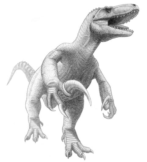 File:Megaraptor namunhuaiquii jmallon.jpg