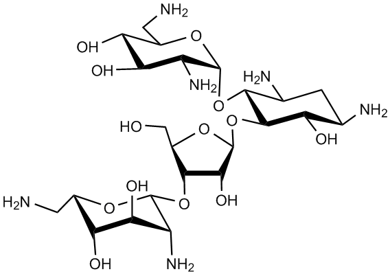 neomycin