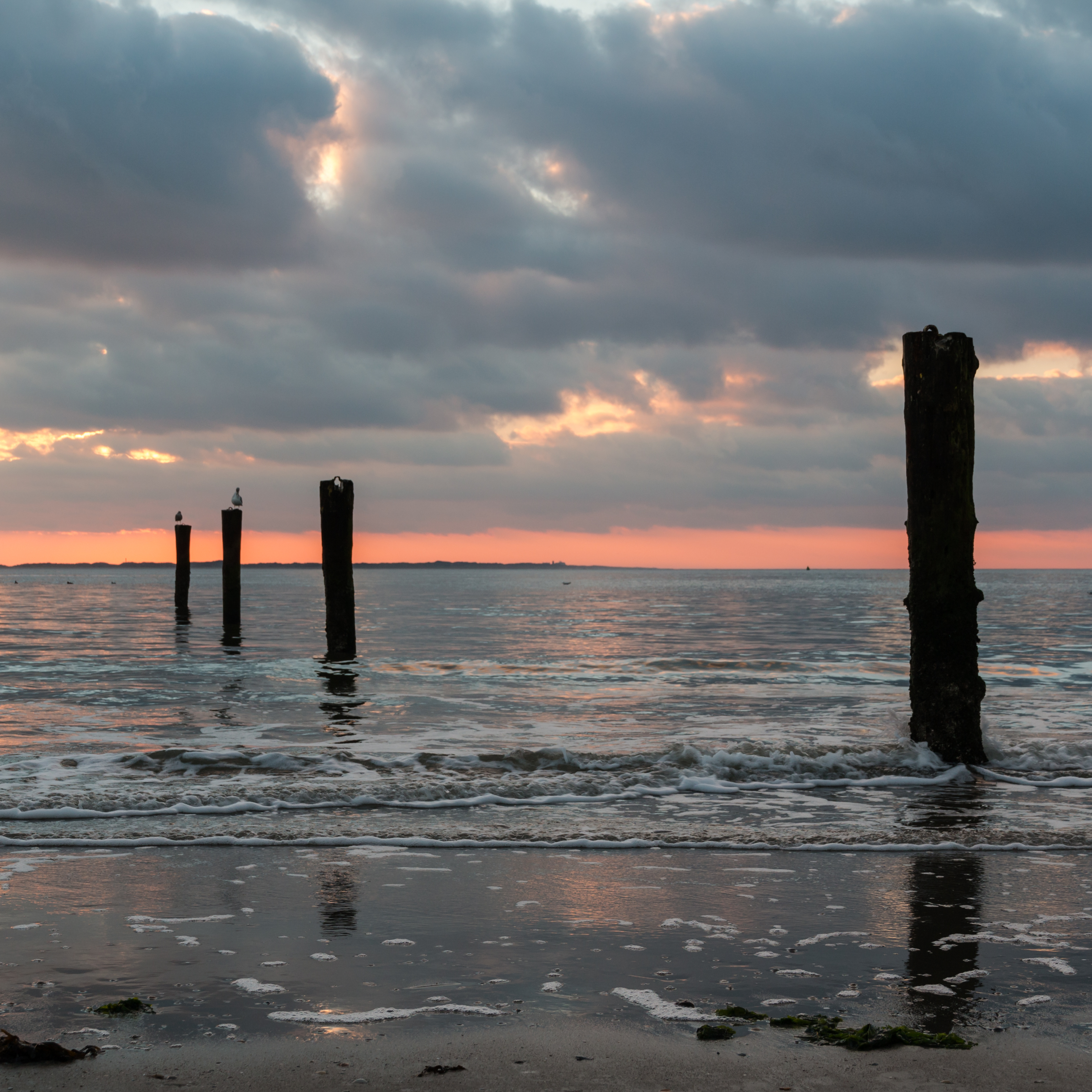 Exploring the Endless Shores of Saaremaa