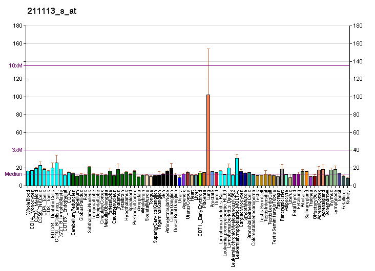 File:PBB GE ABCG1 211113 s at fs.png