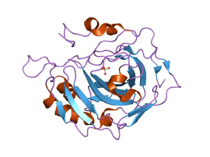 File:PDB 1t9n EBI.jpg