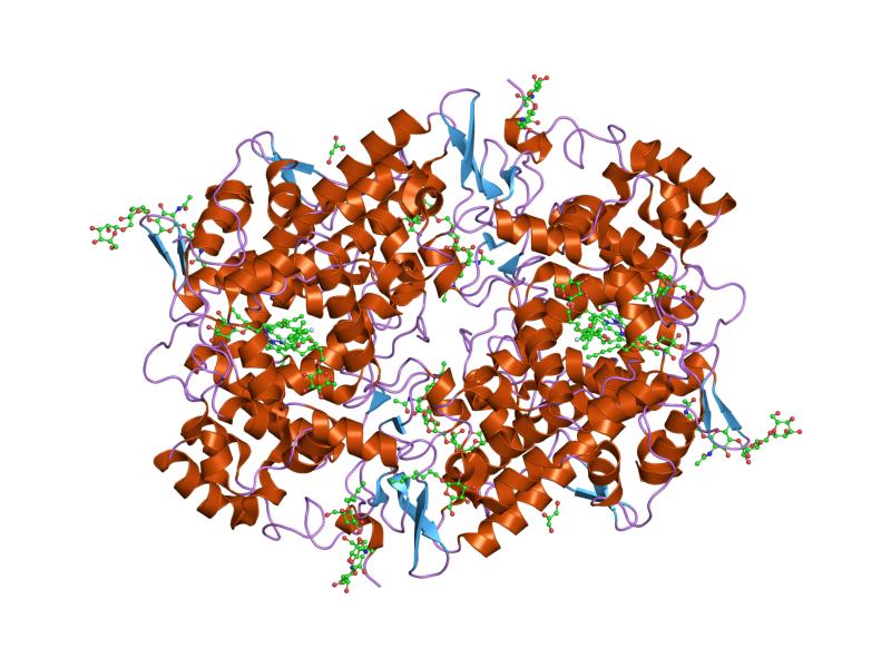 File:PDB 2ayl EBI.jpg