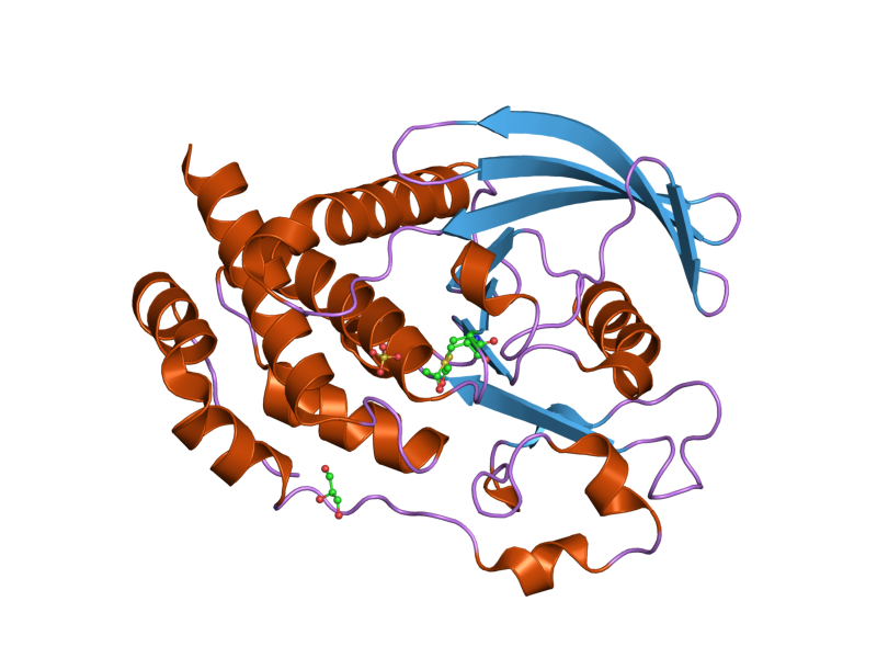 File:PDB 2bv5 EBI.png