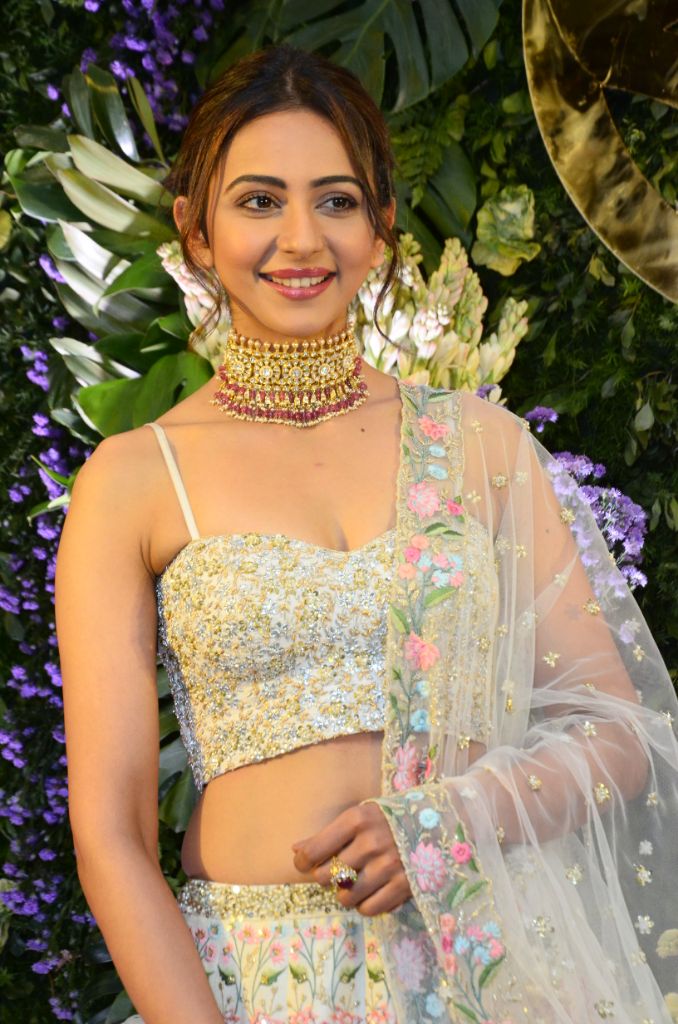 চিত্র:Rakul Preet Singh graces Saina Nehwal`s wedding reception (06).jpg -  উইকিপিডিয়া