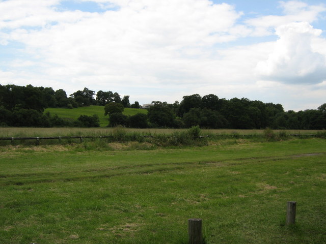 File:Runnymede meadows - geograph.org.uk - 847402.jpg