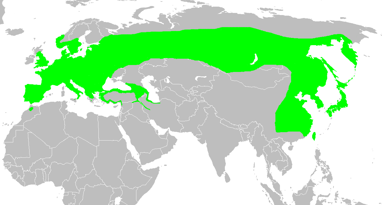 Sitta europaea distribution map