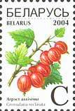 File:Stamp of Belarus - 2004 - Colnect 182040 - Grossularia reclinata.jpeg