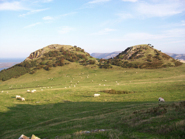 The Vardre, Deganwy - geograph.org.uk - 238131
