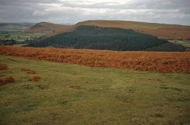 The disused racecourse on the Hergest Ridge - geograph.org.uk - 1444713