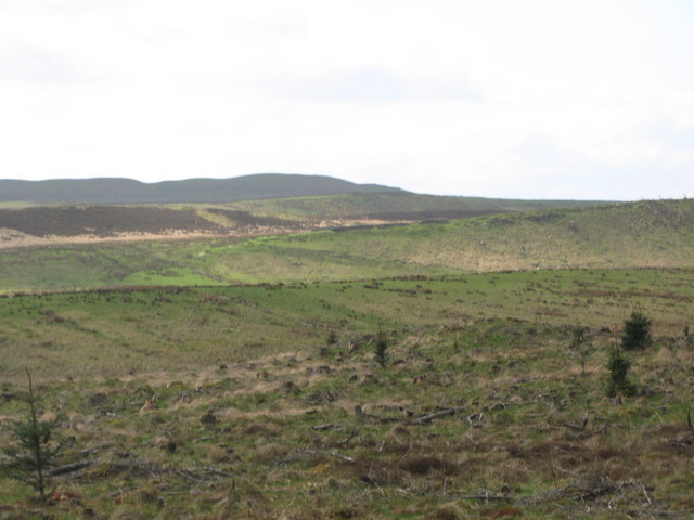 File:The valley east of Greenlee Lough (2) - geograph.org.uk - 1403963.jpg