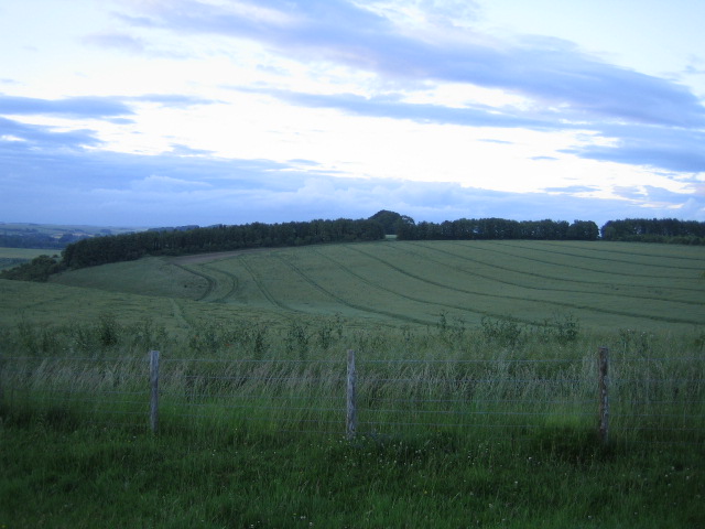 File:Wheat field near Sherrington - geograph.org.uk - 468442.jpg